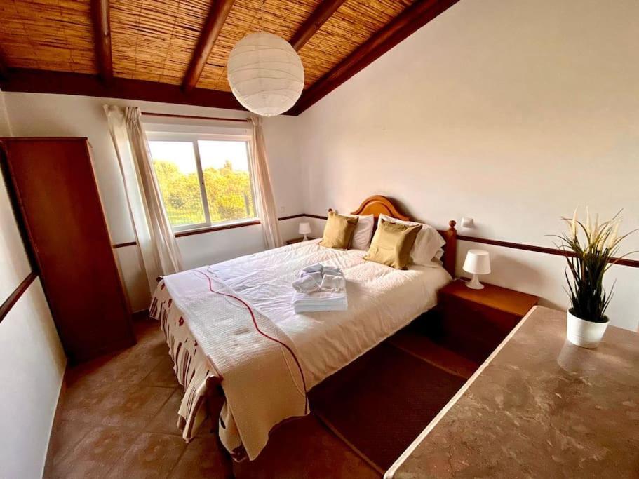 Palma'S Place Casanova Villa #Wifi#Heatedpool#Relax 法鲁区 外观 照片